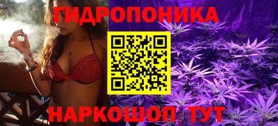 мяу мяу мука Татарск