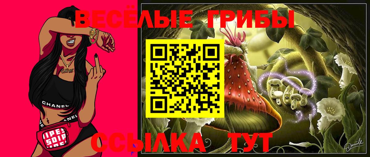 Псилоцибиновые грибы мухоморы  Псилоцибиновые грибы Psilocybine cubensis  Новокубанск  Вход с VPN 